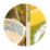 Magazine sur l'�cologie